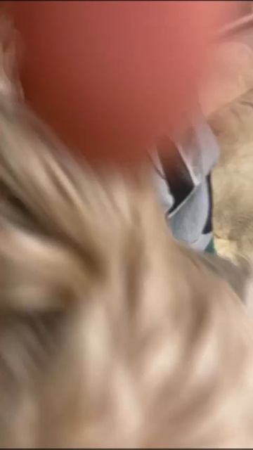 10-10-2025