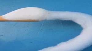 Лебеди из конфет