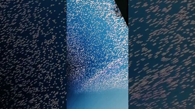 YouCut_20251001_112319526.mp4