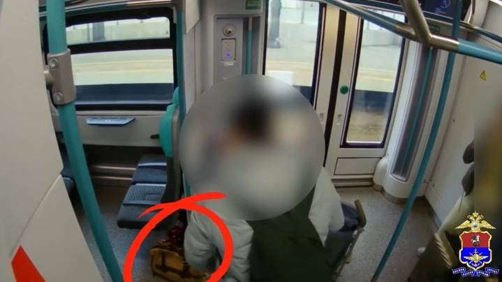 Москвичка украла у пассажира электрички сумку с 297 тыс. рублей