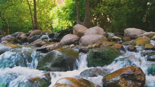 Красивая расслабляющая музыка - Перестаньте слишком много думать, Музыка для снятия стресса, Музыка