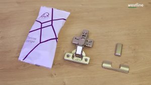 Петля накладная с доводчиком AQ CLIP