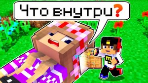 Я ЗАТРОЛЛИЛ ДРУГА МОДОМ и УЗНАЛ ЧТО ВНУТРИ МА в Майнкрафт ДЕВУШКА ВИДЕО ТРОЛЛИНГ MINECRAFT Евгенбро