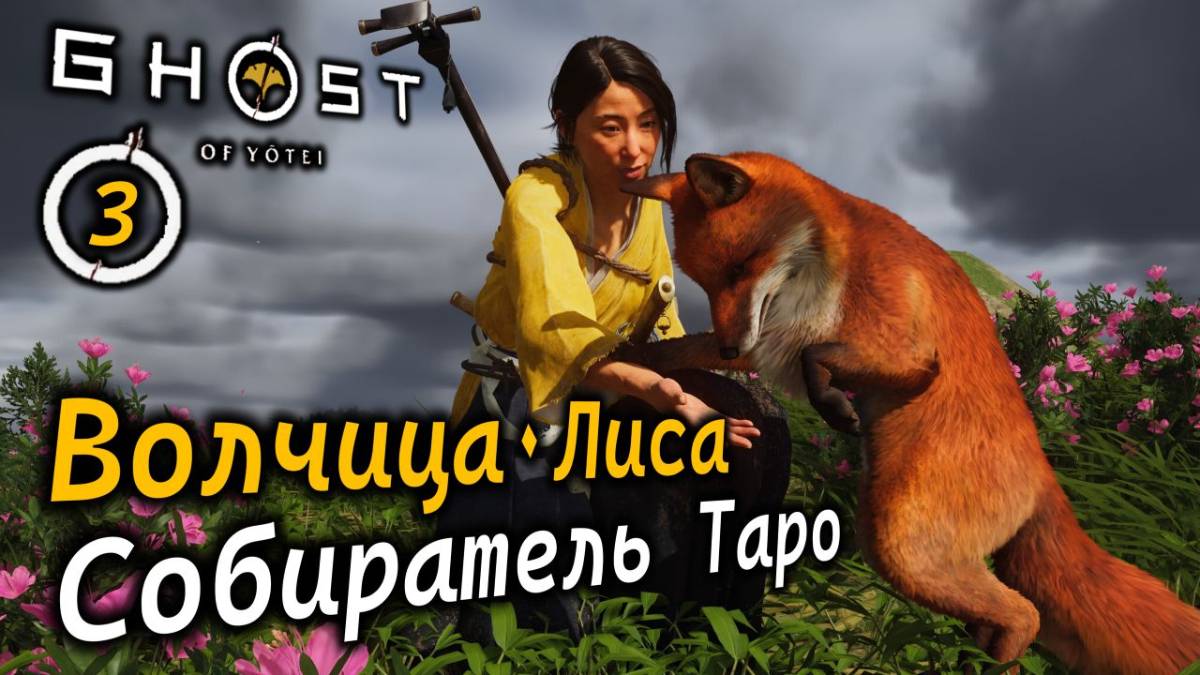 GHOST OF YOTEI | Волчье логово Зеленого холма | Лисья нора у бегущей воды | Собиратель Таро