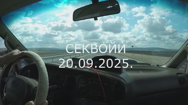 секвойи 20.09.2025.