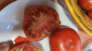 Томатные гномы. Каталог  и обзор томатных гномов. г. Киров