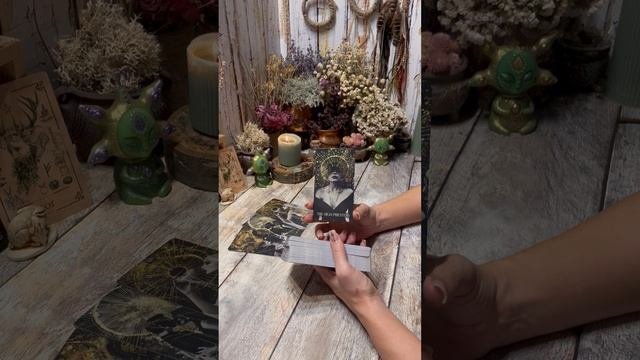 ТЕЛЬЦЫ ТАРО ПРОГНОЗ НА ОКТЯБРЬ