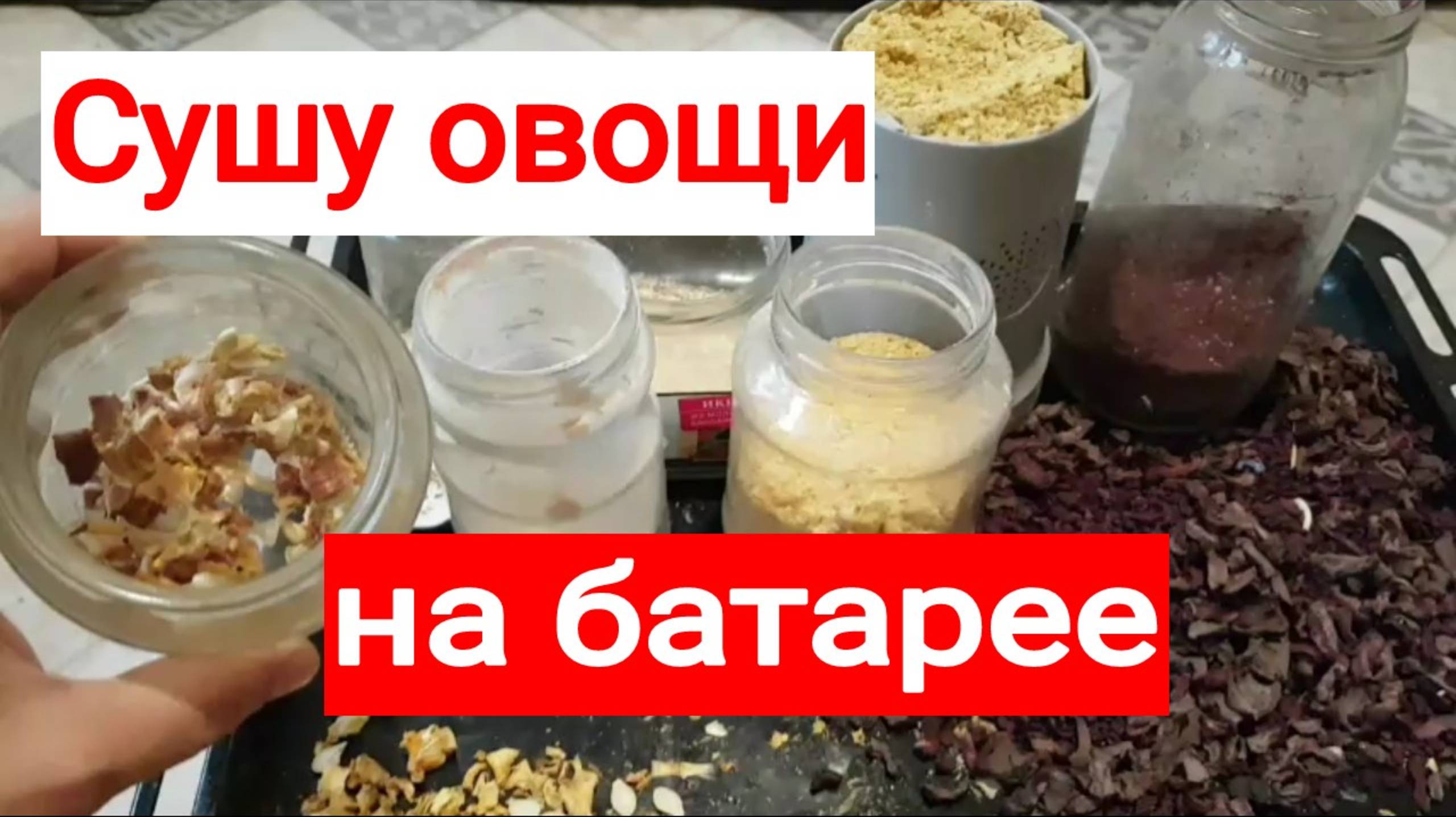 251010 Как сушу овощи на батаре Размолот кофемолк сит сушёны кабачок свекл тыкв хрен морков зим заго