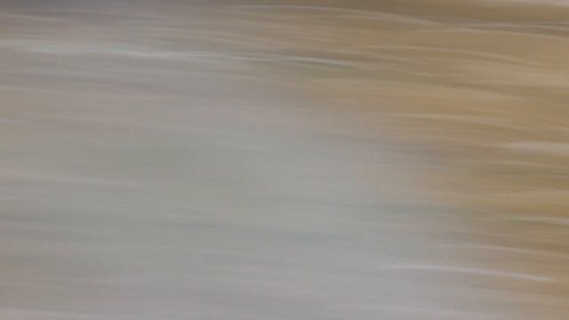 Реконструкция Московской битвы 1612 год Омск
