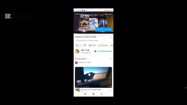 Видос тот гусь