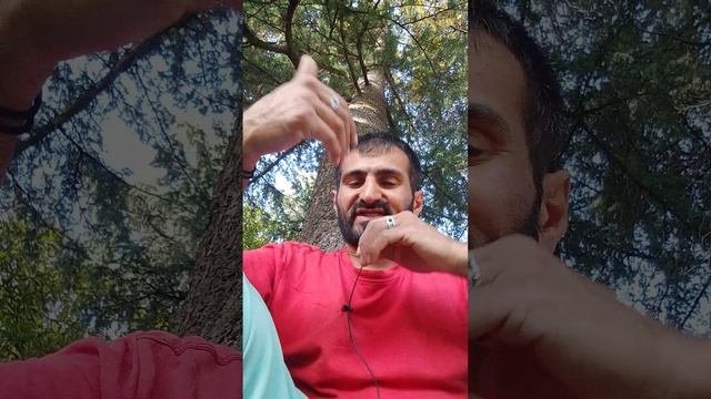 VAGIFOK V4.mp4