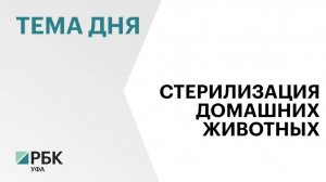 В Башкортостане предложили ввести обязательную стерилизацию домашних животных