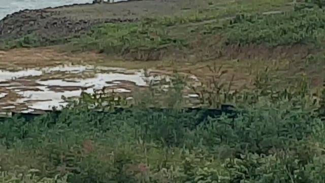 Владивосток От улицы Спортивной до пляжа на Ахлестышева