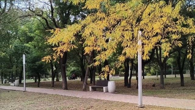 Керчь.  Осенняя прогулка 10.10.25