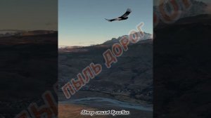 ПОЛНОЛУНИЕ СЕРДЦА