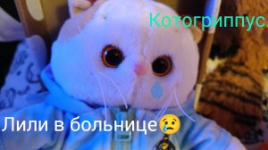 Лили попала в больницу! У неё котогриппус.