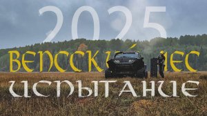 Трейлер «Вепсский лес 2025»