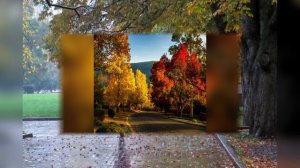 Осень, осень