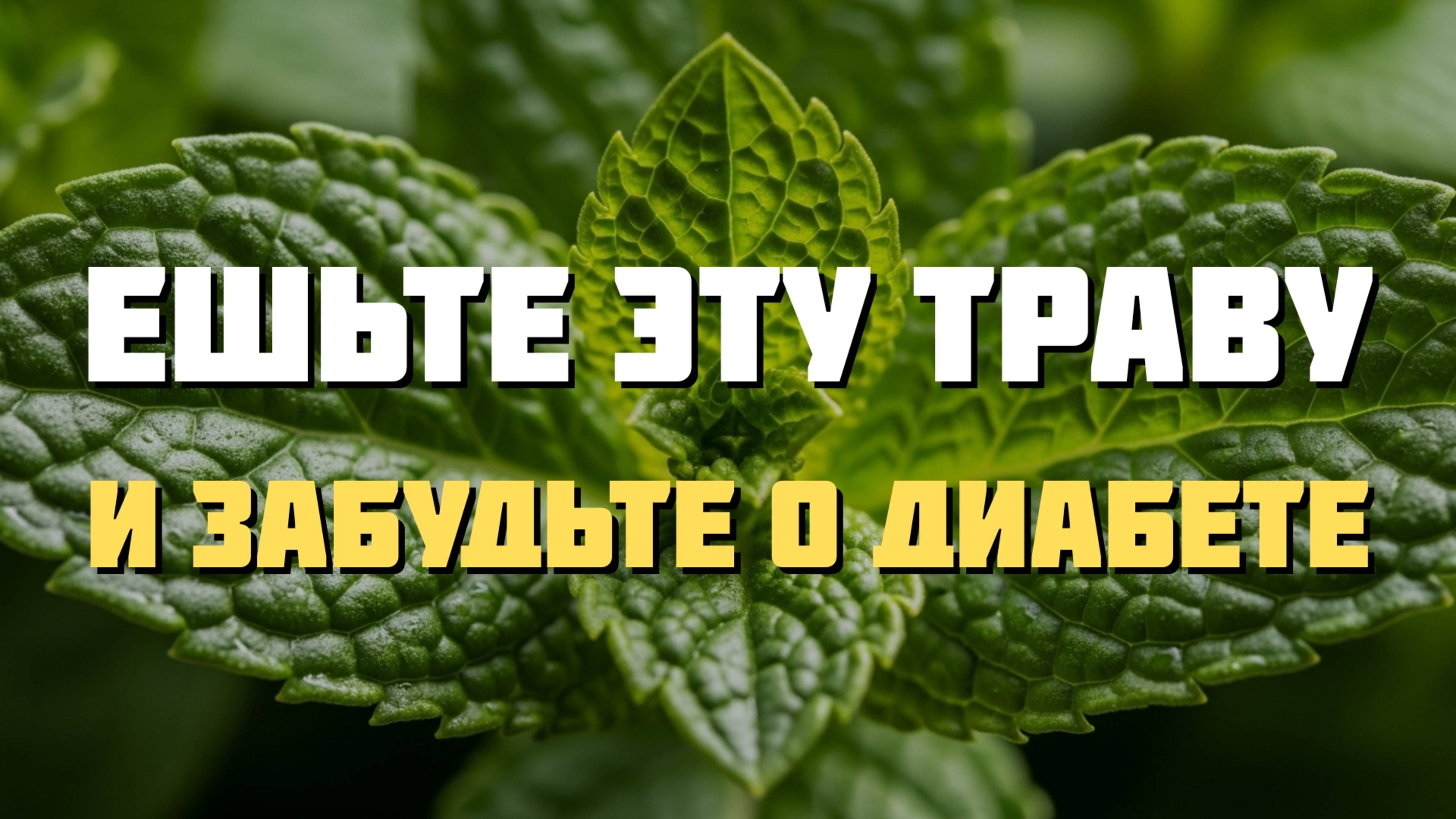Это растение снижает сахар в крови на 93% — доказано наукой!