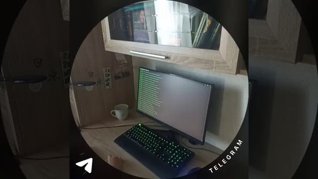 читер