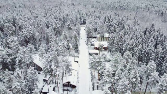 Осинка дом у леса