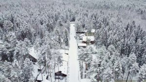 Осинка дом у леса