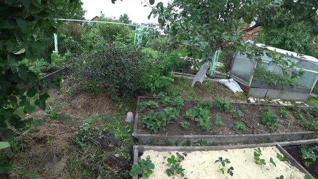 Влог от 12.07.2021