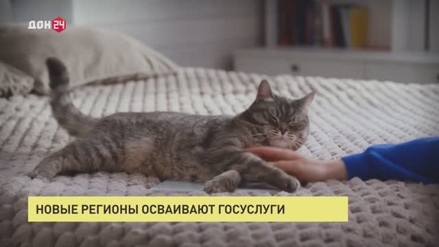 Новые регионы осваивают «Госуслуги»