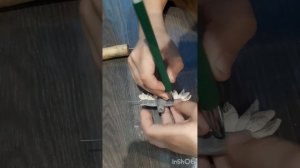 Бомбини гусини