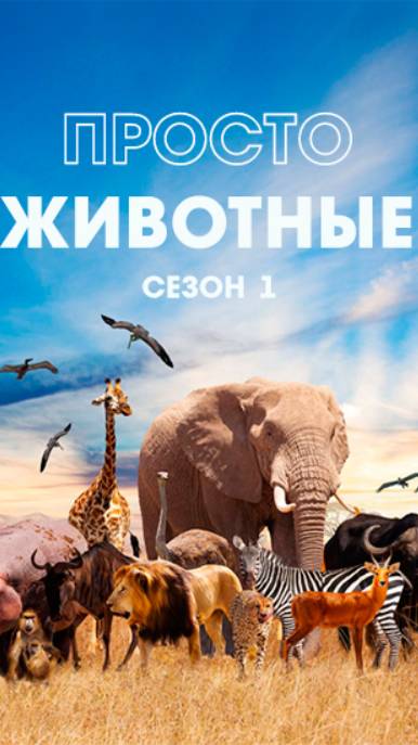 Просто животные «Крокодилы»