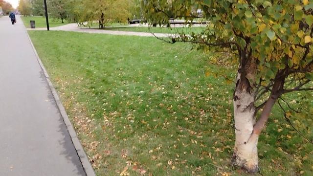 Осенная красота Архангельска