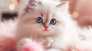 Новая серия сериала про островитянку с туманного Альбиона или как Гадя котиков полюбила #надежда