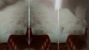 Смотровая площадка