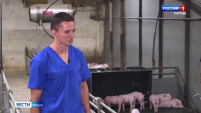 От буренки до полки: кто на самом деле отвечает за качество ваших продуктов?
