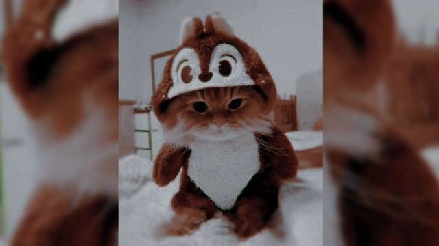 плейлист песен из тик тока | Speed Up