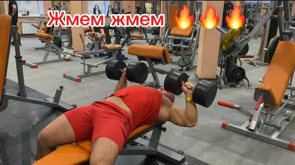 подготовка к соревнованиям по бодибилдингу,цикл масса набор день 8
