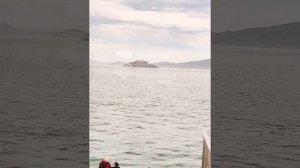 ресторан Баба Гамп