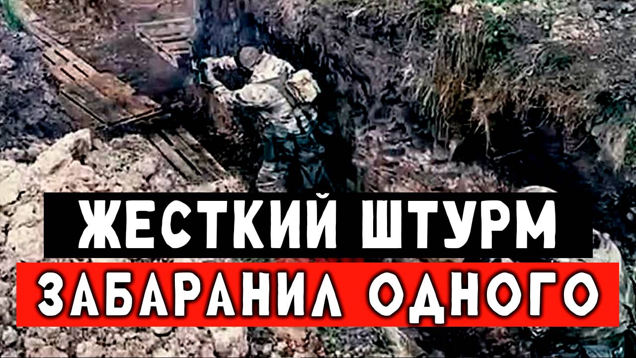 СВОи СВОи прошу не стреляйте последние слова поросёнка так будет с каждым!