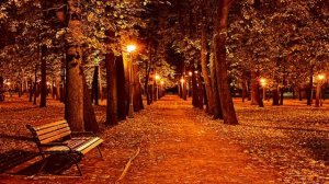 "Я тихо радуюсь дождю..." стихи Ольги Викторовны Фокиной.