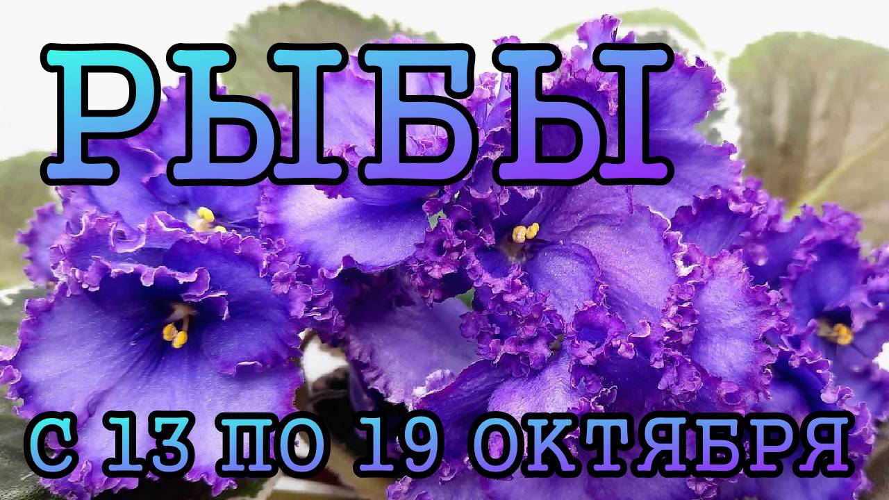 РЫБЫ таро прогноз на неделю с 13 по 19 ОКТЯБРЯ 2025 года.