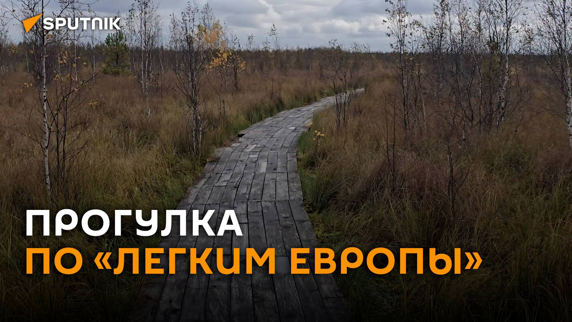 Рай для орнитологов и любителей клюквы: прогулка по «легким Европы»