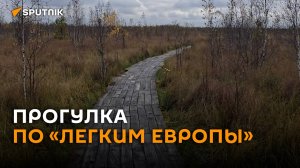 Рай для орнитологов и любителей клюквы: прогулка по «легким Европы»