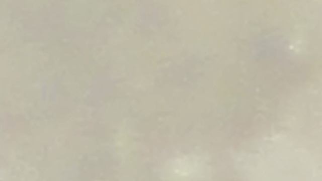 10.10.2025 Moon 01-47 Msk