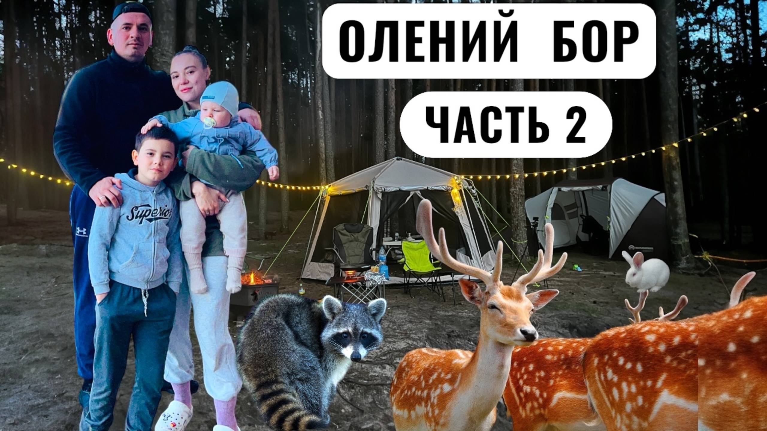 Кемпинг и Рыбалка на Базе Отдыха Олений Бор Часть 2