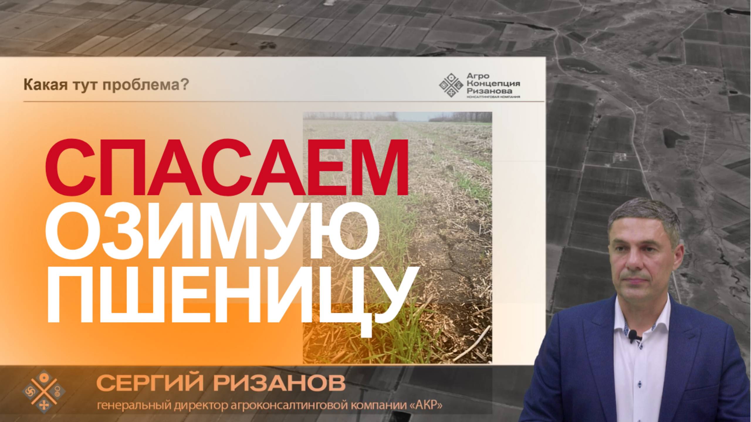Эгилопс на озимой пшенице: как остановить сорняк | Сергий Ризанов | Агроном