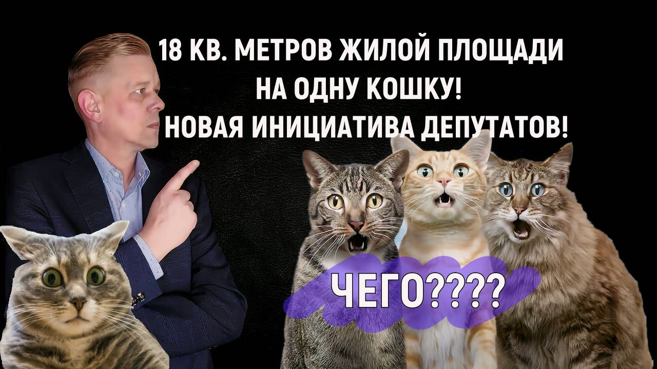 В Госдуме хотят ограничить количество собак и кошек в квартире! Новая инициатива от депутатов!