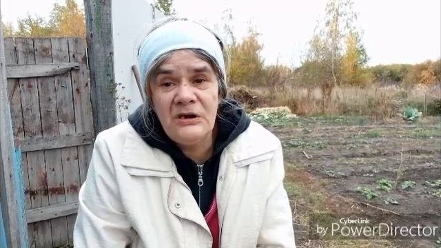 Сажаю чеснок, отвечаю на комментарии.