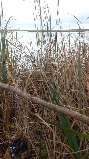 Обзор скрадка на озере смотреть онлайн