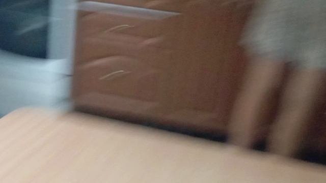 мои кролики