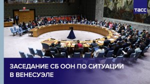 Заседание СБ ООН по ситуации в Венесуэле